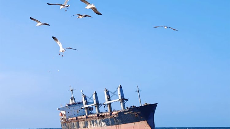 7D6N · Private Tours · Jinan + Tai'an + Qufu + Qingdao + Weihai + Yantai + Penglai District