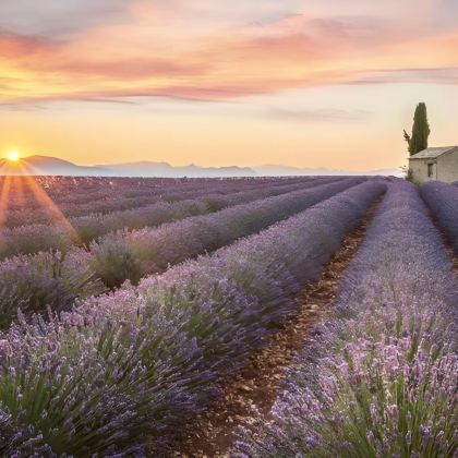 法国+巴黎+圣米歇尔山11日9晚私家团