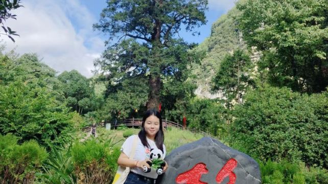 神农架、宜昌+11