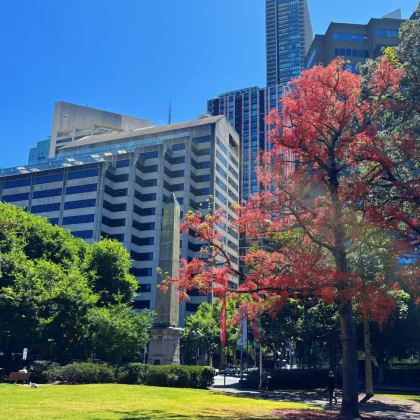 澳大利亚12日9晚拼小团