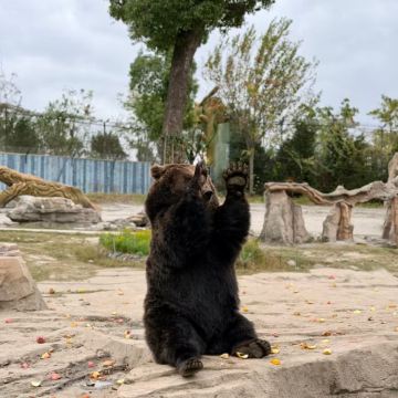 南通森迪冰雪海洋乐园+南通森林野生动物园3日2晚拼小团