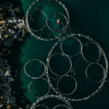 基督城+特卡波湖+库克山+皇后镇8日7晚拼小团