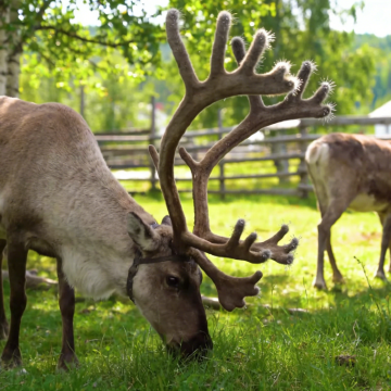 漠河4日3晚拼小团