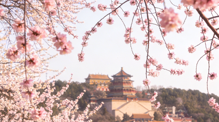 从杭州出发，珈程国旅5天4晚北京私家团，解锁一座不设防的皇城