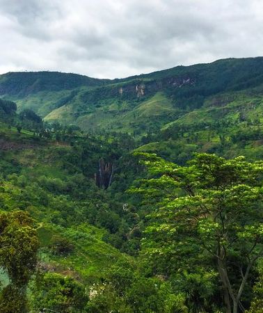 3D2N • 3 Days Tour to Kandy Nuwara Eliya & Sigiriya from Colombo