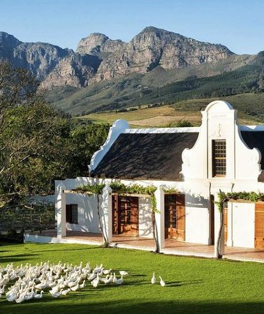 2D1N • Cape Town Tour, Aquila Safari Game Reserve Overnight + Transport