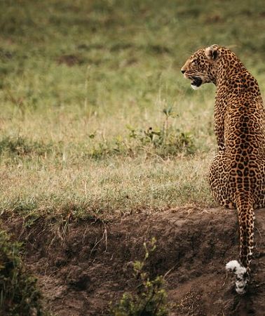 3D2N • 3-Day Masai Mara Luxury Safari