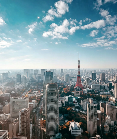 2D1N • 10-Hour Daily Private Car Charter: Tokyo + Mt. Fuji + Hakone + Izu ,10-hour daily private car charter + excluding admission fees and accommodation