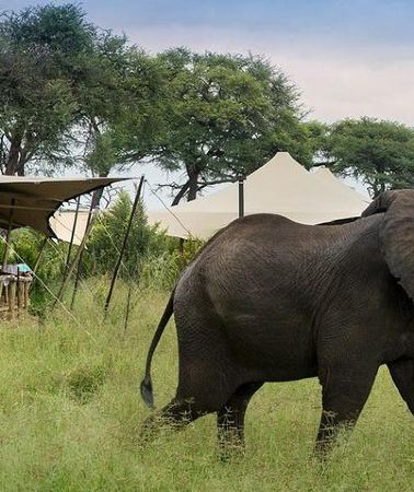 3D2N • Hwange National Park Safari from Victoria Falls (2 Nights)