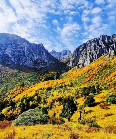 6天5晚 • 甘肅甘南＋蓮寶葉則景區＋郎木寺景區＋拉卜楞寺＋扎尕那