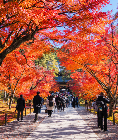 5D4N • Osaka + Kyoto + Nara City + Kobe + Kiyomizu-dera Temple + Nanzen-ji Temple + Eikando Temple + Byodoin Temple + Nara Park + Arima Onsen + Katsuo-ji