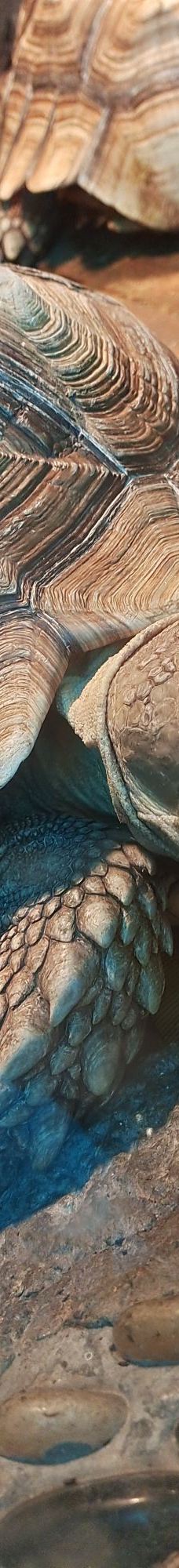 南昌动物园-南昌