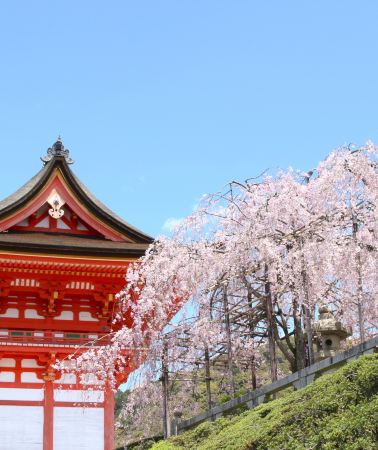 5日4晚 • 日本大阪+京都