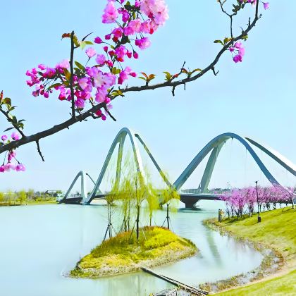盐城+盐镇水街+大纵湖+珠溪古镇+中华海棠园3日2晚私家团