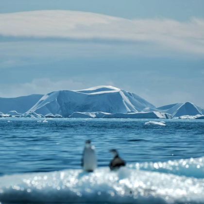 南极洲+阿根廷+乌拉圭17日跟团游