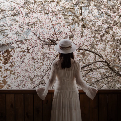 丽江+香格里拉+梅里雪山+稻城亚丁+噶丹松赞林寺7日6晚私家团