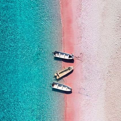 印度尼西亚巴厘岛+科莫多国家公园+粉红沙滩8日7晚私家团