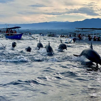 印度尼西亚巴厘岛+科莫多10日9晚跟团游
