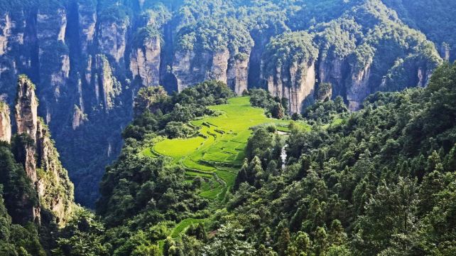 5-Day Vibrant Hunan Group Tour· Zhangjiajie National Park, Fenghuang Ancient Town & Provincial Capital Changsha