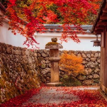 日本大阪4日自由行