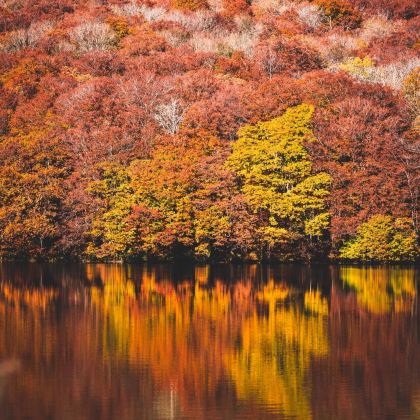 日本仙台+青森6日5晚拼小团