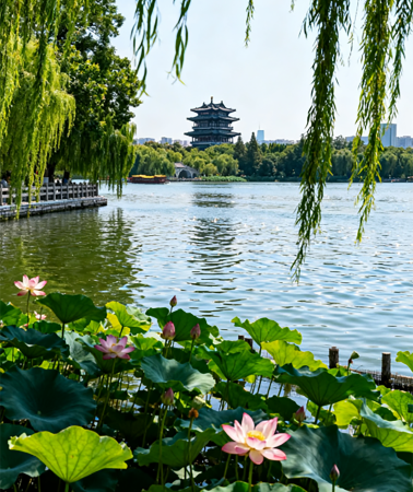 9D8N • Jinan + Qufu + Zaozhuang + Tai'an + Zibo + Weihai + Yantai + Qingdao