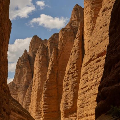 兰州水墨丹霞旅游景区+黄河石林国家地质公园+青海湖二郎剑景区+青海湖东格尔观景台+日月山2日1晚私家团