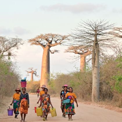 马达加斯加+毛里求斯+留尼汪（法属）+塞舌尔15日14晚私家团