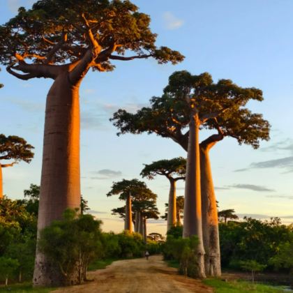 毛里求斯+留尼汪（法属）12日11晚私家团