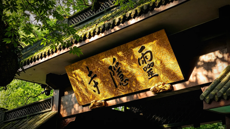 2-Day China + Hangzhou + West Lake + Lingyin Temple + Longjing Village·  
