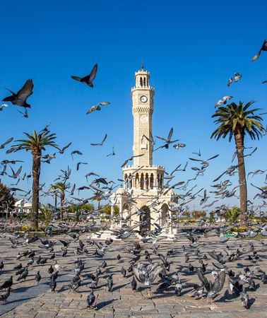 8D7N • 8 Days Moroccan Tour: Casablanca to Marrakech via Merzouga Desert