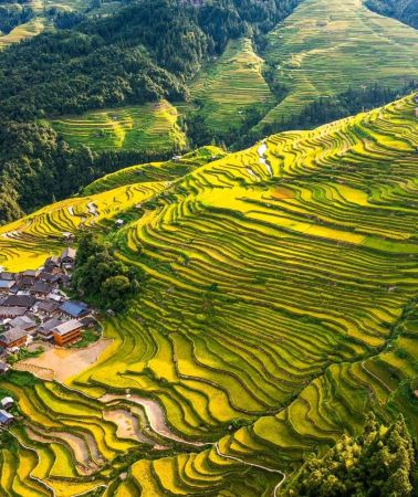 5D4N • China + Guiyang + Huangguoshu Waterfall + Wanfenglin Scenic Area + Maling River Canyon