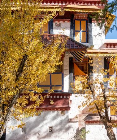 13D12N • Flight & Train Ticket Booking - 'Chengdu to Nyingchi nonstop Flight & Qinghai-Tibet Railway Return' Lhasa + Nyingchi + EBC + Ranwu Lake + Lulang Forest + Potala Palace + Namtso Lake