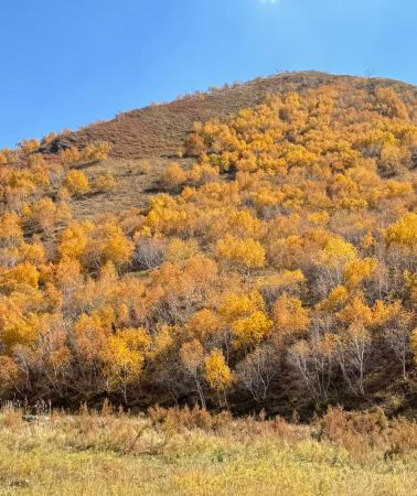 5天4晚 • 「點選左下角瞭解詳細行程安排·已含小費·草原火山·塞北風情五日遊」希拉穆仁草原哈達門森林公園響沙灣旅遊區5日純玩