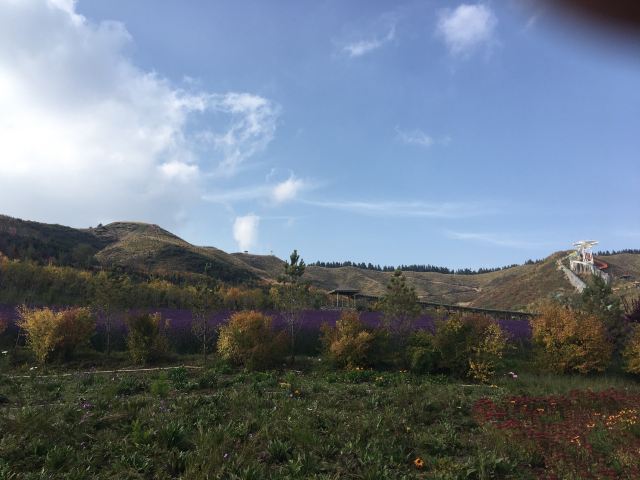 边麻沟花海(暂停开放)旅行图片 2