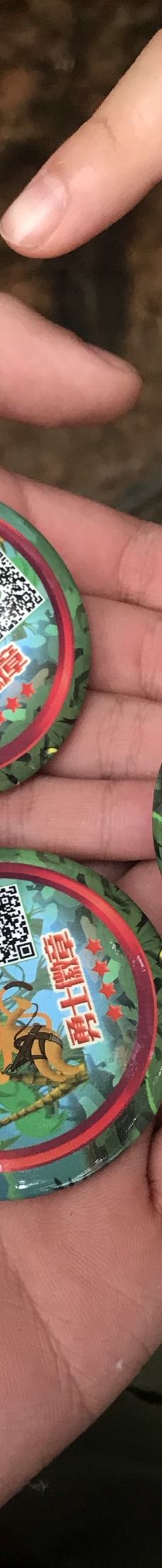 天鹿湖森林公园-广州