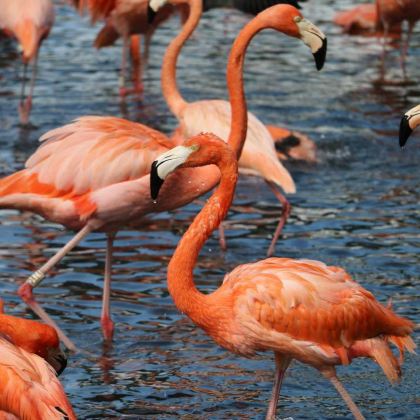 海口+澄迈+文昌7日6晚私家团