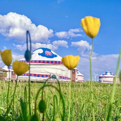 呼和浩特+大同+太原9日8晚跟团游