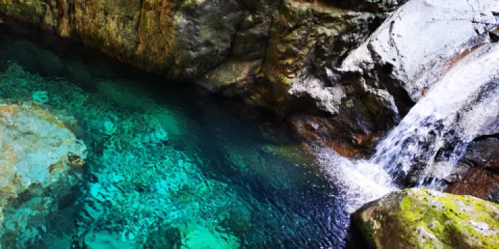 牛頭山國家森林公園