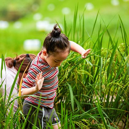 广西崇左+德天瀑布+通灵大峡谷+靖西+宁明花山岩画景区3日2晚拼小团