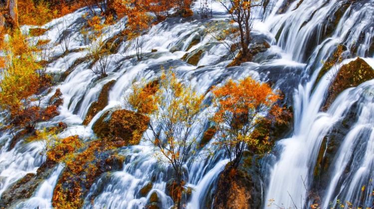 3-Day Autumn & winter pre-sale: Jiuzhaigou & Huanglong · Foliage & Travertine Pools — free VIP lounge access and upgrade to InterContinental Resort Jiuzhai Paradise