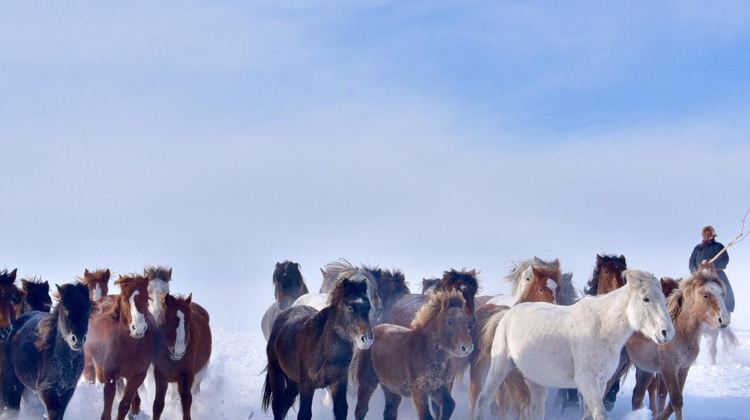 7-Day Hulunbuir + Genhe + Manzhouli
