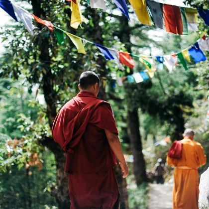 尼泊尔佛陀出生地+蓝毗尼园+纳加阔特+帕坦杜巴广场+黄金庙+博达哈大佛塔+猴庙5日4晚私家团