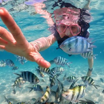 马来西亚兰卡威+吉隆坡7日6晚跟团游