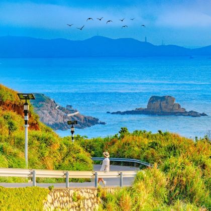 嵊泗+花鸟岛+枸杞岛+嵊山岛4日3晚私家团