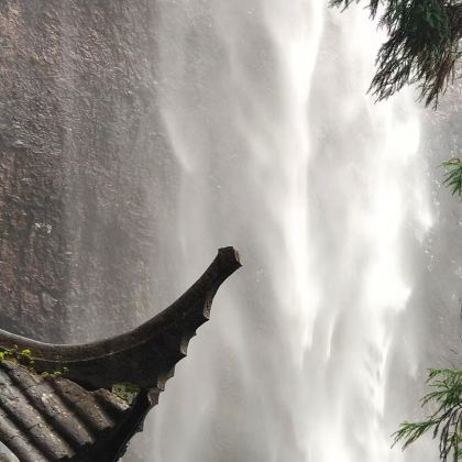 温州+丽水+雁荡山7日6晚私家团