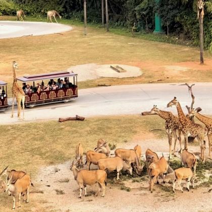 广州+佛山+顺德区5日4晚私家团