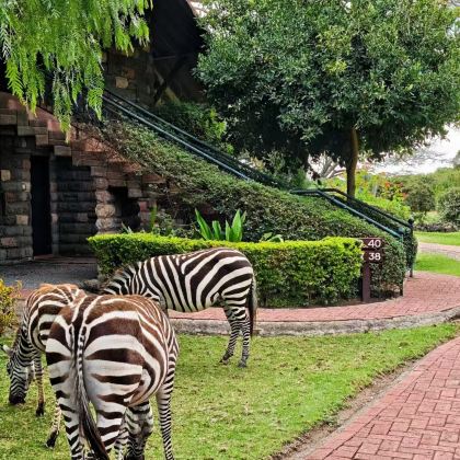 肯尼亚13日10晚私家团