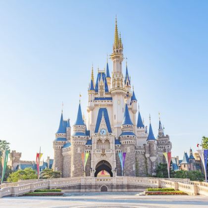日本东京+迪士尼（Disney）+富士山6日5晚私家团