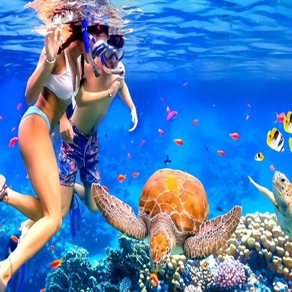 马来西亚仙本那+吉隆坡8日7晚拼小团